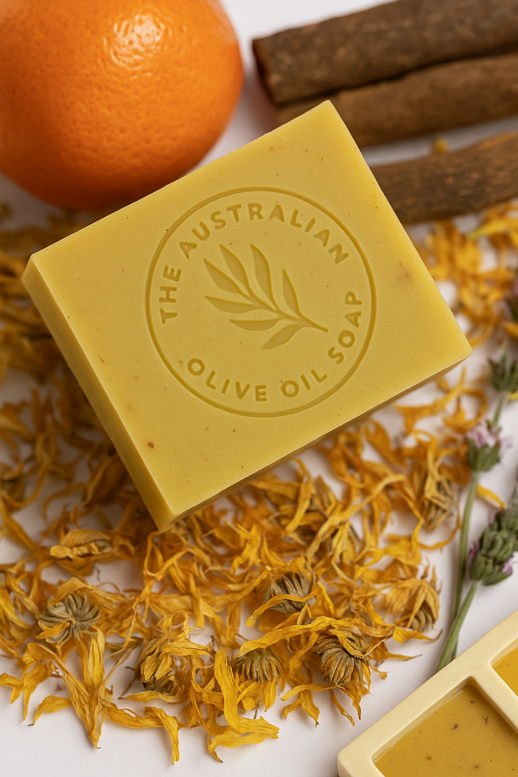 warm and gentle in winter