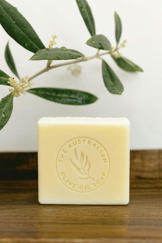 December News: A Gentle New Beginning